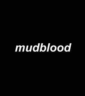 Muggle Born Aesthetic, Mudblood Aesthetic, Muggle Aesthetic, Burlywood Aesthetic, Muggleborn Aesthetic, Slytherin Motivation, Teddy Tonks, Ted Tonks, Solar Goddess