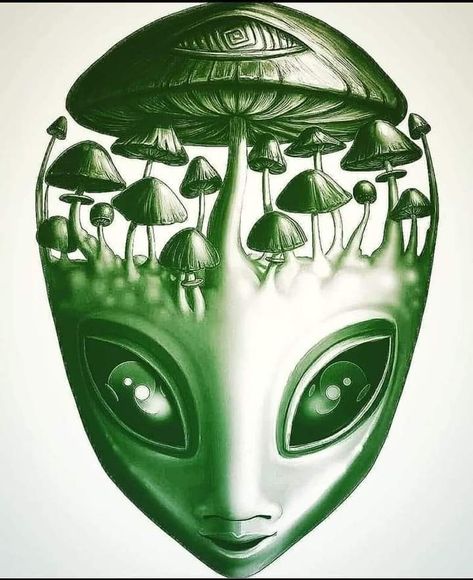 Alien Iphone Wallpaper, Shroom Art, Trippy Alien, Ufo Tattoo, Boom Festival, Tattoo Process, Graffiti Quotes, Trippy Iphone Wallpaper, Alien Drawings