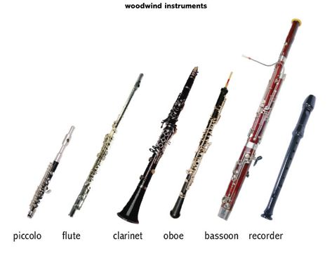 Kind of Music Instrument - MusicaLoid Woodwind Instrument, Woodwind Instruments, Music Express, Science Activities For Kids, English Resources, Musical Art, Music Class, Music Memes, String Instruments