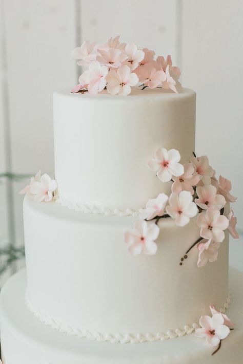 Wedding Cake Floral Design, Cherry Blossom Wedding Cake, Wedding Cake Simple Elegant, 2 Tier Wedding Cakes, Cherry Blossom Cake, Cherry Blossom Wedding, Floral Wedding Cakes, Simple Wedding Cake, Elegant Wedding Cakes