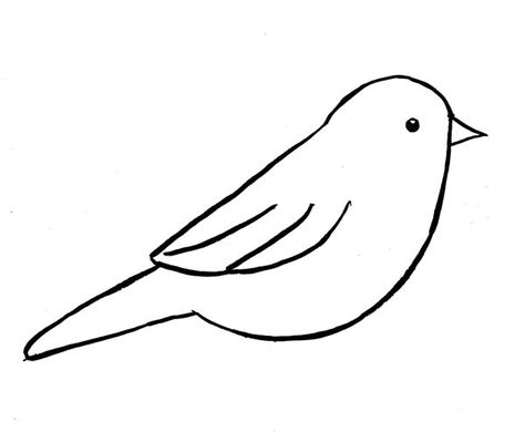 Drawing Birds Easy, Simple Bird Drawing, Fruit Coloring, Bird Outline, Animal Outline, Easy Bird, Cat Template, Bird Template, Fruit Coloring Pages