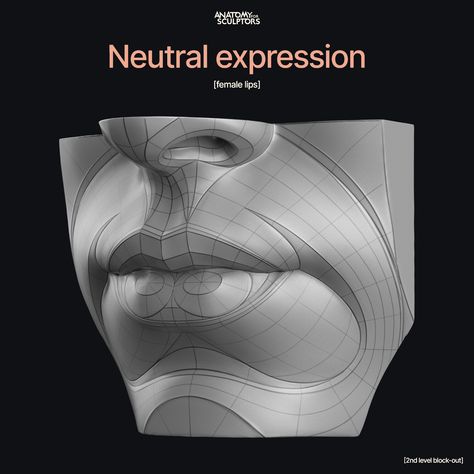 Lips Anatomy, Portrait Anatomy, Neutral Expression, Anatomy For Sculptors, Zbrush Anatomy, Face Sculpting, Female Lips, 3d Reference, Head Anatomy