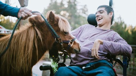 Animal therapy: How it works, benefits, and more Animal Therapy, Equine Therapy, Therapy Animals, Mental Health Disorders, Emotional Awareness, Horses And Dogs, Types Of Animals, Dog Help, Alternative Therapies