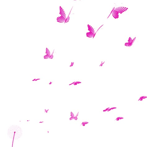 Ombre Wallpaper Iphone, Butterfly Gif, Attack On Titan Tattoo, Glitter Gif, Gif Background, Blue Butterfly Wallpaper, Certificate Background, Lion Photography, Shadow Video