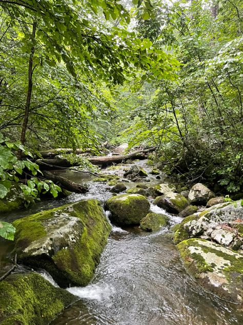 Shenandoah River, Park River, Garden Walkway, Shenandoah National Park, Walkway, Pacific Northwest, North West, Forest, National Parks