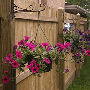 Hang dollar store solar lights on basket hooks. | 41 Cheap And Easy Backyard DIYs You Must Do This Summer Easy Backyard Diy, Backyard Privacy, Hanging Flower Baskets, Flower Baskets, Diy Fence, Hanging Flower Pots, Easy Backyard, Easy Landscaping, Basket Planters