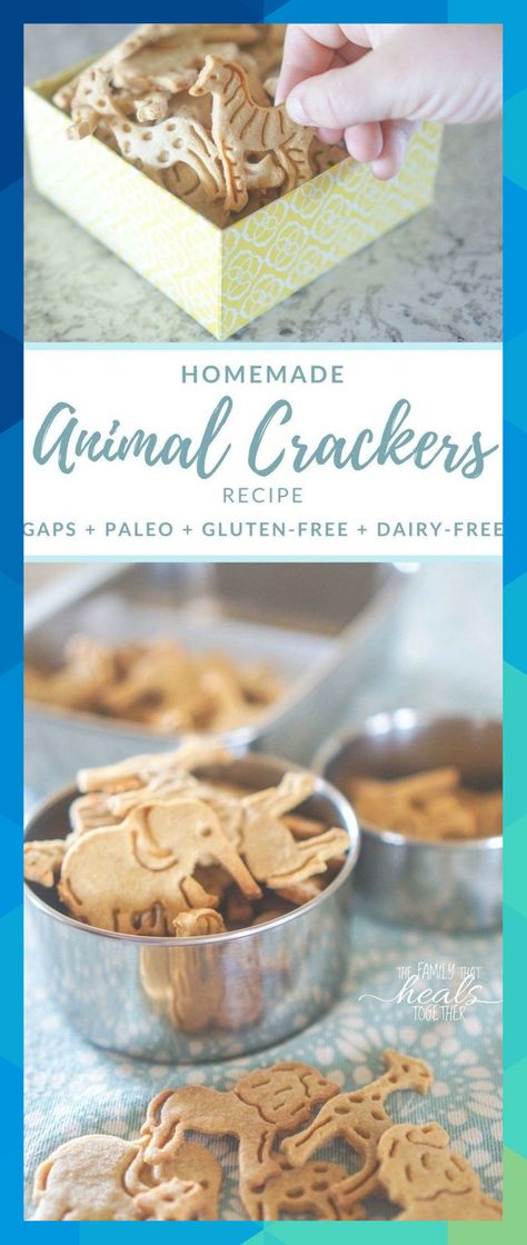 Animal Cracker Recipe for Paleo & GAPS Diet | Gluten-Free, Grain-Free, Dairy-Free, and Low Carb | The Family That Heals Together #eugenezulauf866 Animal Cracker Recipe, Animal Crackers Recipe, Scarsdale Diet, Gaps Diet Recipes, Diet App, Cracker Recipe, Reminder App, Animal Cracker, Gaps Recipes