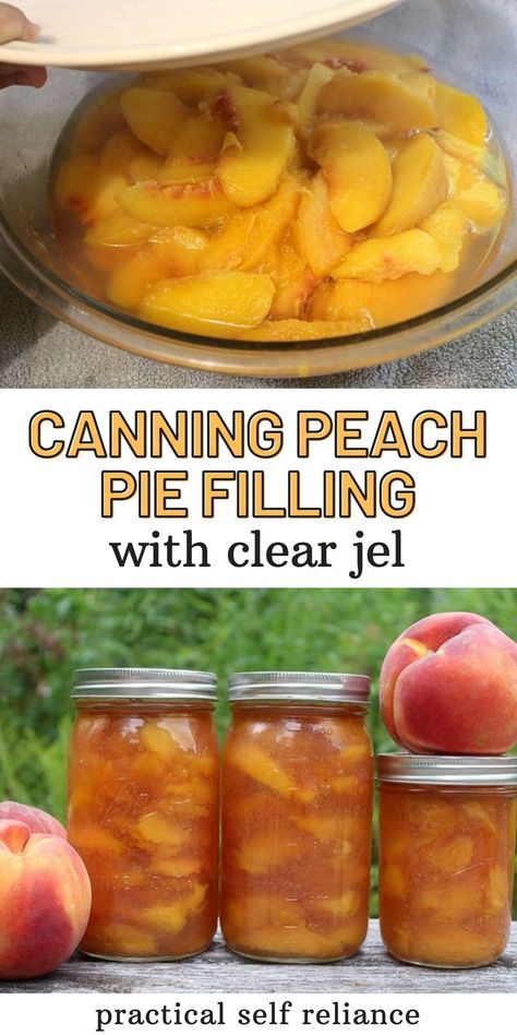 Canned Peach Pie Filling, Canned Peach Pie, Canning Peach Pie Filling, Peach Pie Filling Recipes, Canning Fruit Recipes, Canning Apple Pie Filling, Fresh Peach Pie, Fruit Pie Filling, Canning Peaches