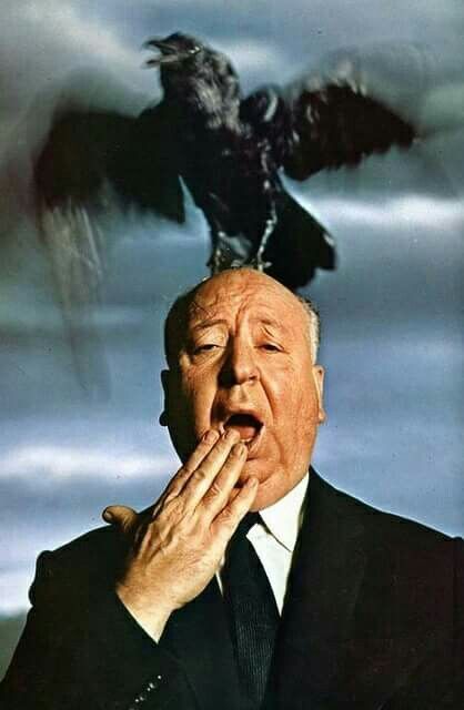 Alfred Hitchcock Movies, Fritz Lang, Septième Art, Actrices Hollywood, Martin Scorsese, Charles Bukowski, Entertainment Weekly, Alfred Hitchcock, Classic Horror