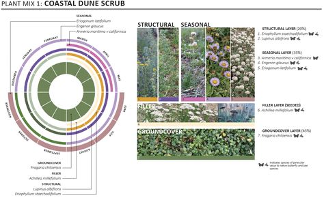 Ornamental Horticulture, Garden Field, Landscape Architecture Diagram, Landscape Architecture Plan, California Plants, Urban Habitat, Urban Design Concept, Plant Study, California Native Plants