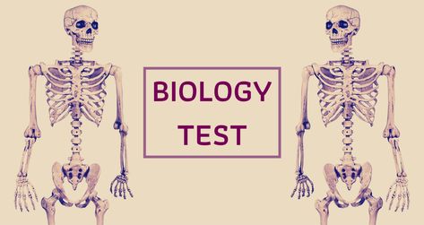 Take This Biology Quiz Only If You Have A Ton Of Random Knowledge Biology Test, Advanced Grammar, Random Knowledge, Career Quiz, Play Bridge, Chanel Art, Kids Part, Test Quiz, Printable Pictures