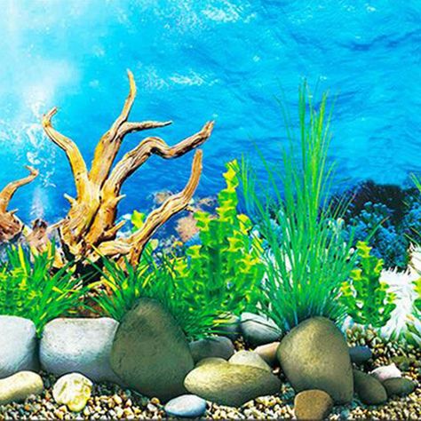 Coral Aquarium, Image 3d, Fish Drawings, Tanked Aquariums, Ocean Wallpaper, Cool Tanks, Aquarium Backgrounds, Beautiful Stickers, Beautiful Backgrounds