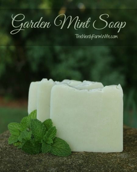 Mint Soap Recipe, Mint Soap, Savon Diy, Cold Process Soap Recipes, Apple Mint, Soap Making Recipes, French Green Clay, Diy Kosmetik, French Green