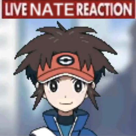 Pokemon Nate, Surprise Pokemon, Nate Pokemon, N Pokemon, My Honest Reaction, No Thoughts, Honest Reaction, Pokemon Regions, Gotta Catch Them All