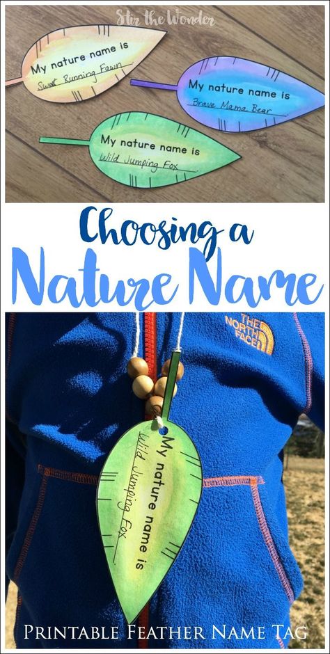 Choosing a Nature Name with a class, nature group or as a family is fun, memory building activity that will last a lifetime! Exploring Nature Activities For Preschoolers, Nature Social Emotional Activities, Nature Detectives Activities, Nature Camp Ideas, Nature Week Activities, Nature Games For Kids, Wilderness Activities, Forest Activities, Kids Nature Activities