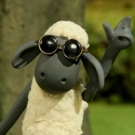 The Sheep, Playing Games, Fun Games, Group Chat, Sheep, Money, Sunglasses, Building