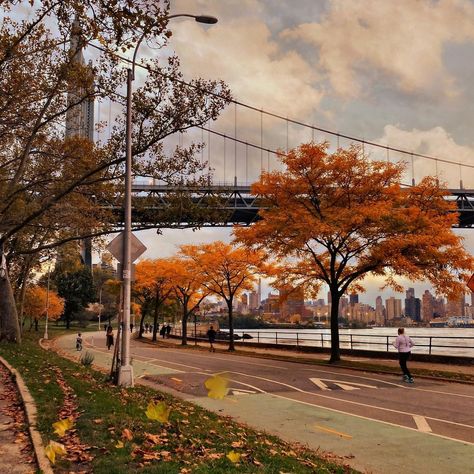 Jackie on Instagram: ““There is a time of year in New York when, even before the first leaf falls, you feel the seasons click. “ CB #fall #vsco…” Fall Vsco, Falls Aesthetic, Autumn In New York, Fallen Book, Aesthetic Pics, The Seasons, Fall 2024, Book Aesthetic, I Fall