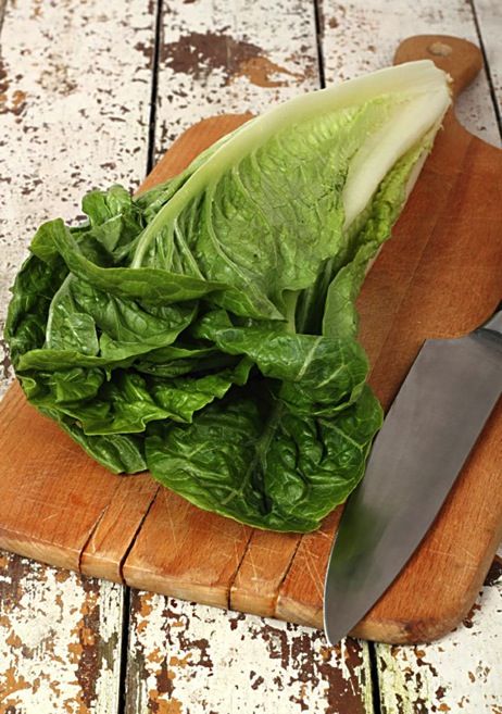 romaine lettuce - Everday Good Thinking @hamiltonbeach Storing Lettuce, Parris Island, Lettuce Seeds, Hydroponic Farming, Leafy Vegetables, Vegetable Seeds, Organic Seeds, Romaine Lettuce, Heirloom Seeds