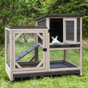 Tucker Murphy Pet™ Outdoor Rabbit Hutch,Small Animal Houses & Habitats,Rabbit Cage Bunny Hutch With Run | Wayfair Rabbit Hutch And Run, Outdoor Rabbit, Outdoor Rabbit Hutch, Bunny Cage, Bunny Hutch, Cozy Loft, Indoor Rabbit, Large Rabbits, Rabbit Cages