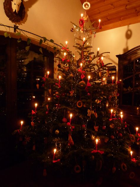 Austrian Christmas Tree Austrian Christmas, Secular Christmas, Primitive Colonial, Christmas Feeling, Santa Lucia, Christmas Travel, Beautiful Sites, Victorian Christmas, Halloween Christmas