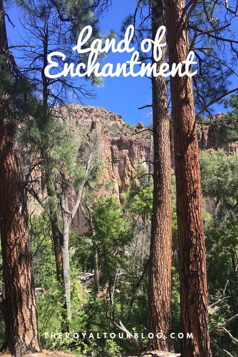 Land of Enchantment - The Royal Tour Carson National Forest New Mexico, Gila National Forest New Mexico, Malex Roswell New Mexico, Mexico Landmarks, Land Of Enchantment, Enchanted, New Mexico, Arizona, Plants