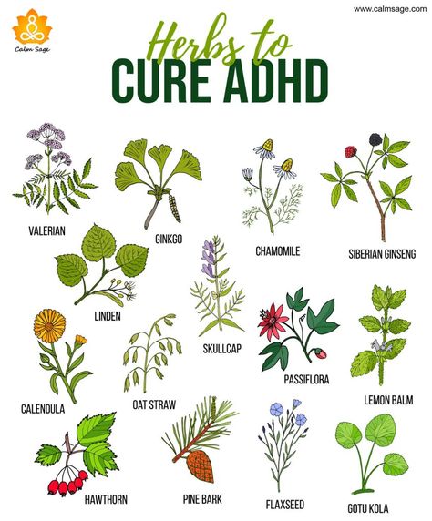 Medicinal Herbs Garden, Medical Herbs, Magia Das Ervas, Essential Oils Guide, Magic Herbs, Natural Healing Remedies, Healing Plants, Herbal Healing, Herbal Magic