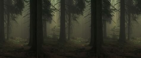 Forest Banner, Camo Aesthetic, Long Widget, Stanford Pines, Wood Banner, Dark Forest Aesthetic, Twitter Header Pictures, Dark Green Aesthetic, Twitter Banner