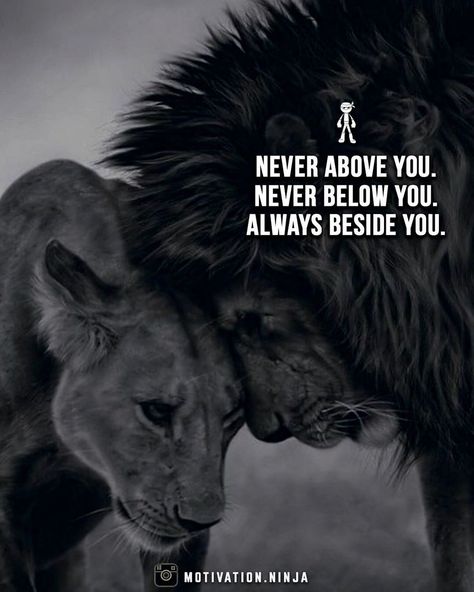 Never Above you. Never below you. Always beside you. | Picture Credit : Instagram @motivation.ninja Deep Meaningful Quotes, Lion Quotes, Harvey Specter, Word Up, Inspiring Quotes About Life, Quotes For Him, Love Quotes For Him, Great Quotes, Relationship Quotes