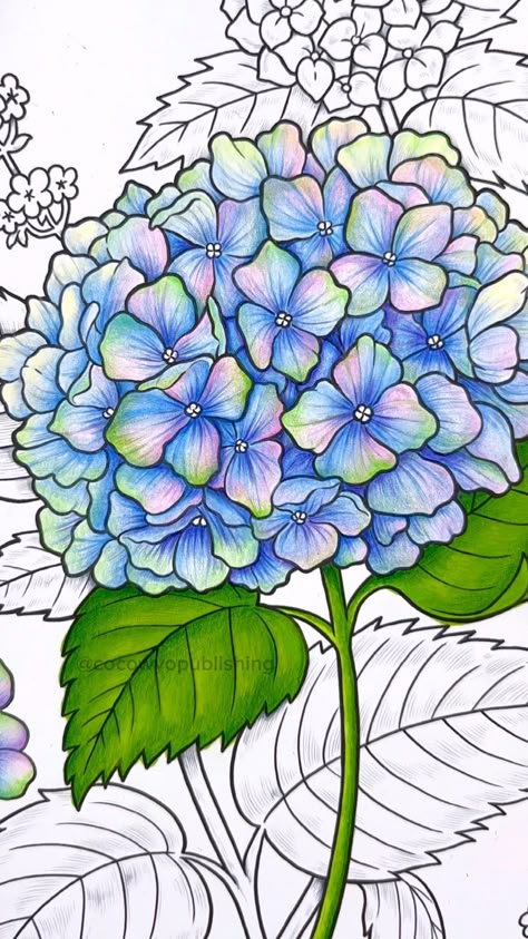 Coco Wyo Coloring, Colored Pencil Lessons, Coco Wyo, Colored Pencil Drawing Techniques, Colored Pencil Art Projects, Blending Colored Pencils, Color Pencil Illustration, The Language Of Flowers, Colored Pencil Tutorial