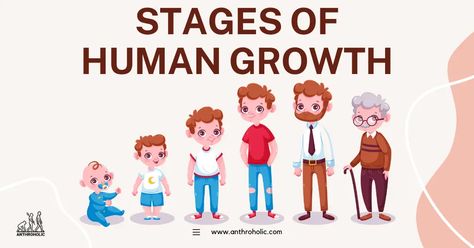 The stages of human growth represent an intricate interplay of biological, cognitive, and psychosocial transformations. Studying these stages from a biological anthropological perspective not only enhances our understanding of human life but also promotes holistic approaches to health and wellness across the lifespan. Stages Of Human Development, Human Growth And Development, Learn Biology, Holistic Approach To Health, Growth And Development, Human Development, Holistic Approach, Anthropology, Study Motivation