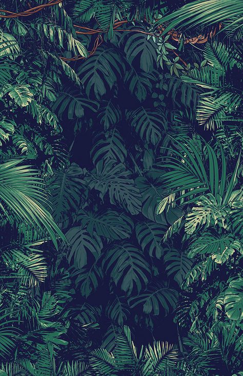 Dinosaur Jungle, Jurassic Park Aesthetic Wallpaper, Aesthetic Wallpaper Greek Mythology, Jurrasic World, Jurassic Park Art, Jurassic Park Aesthetic, Background Dinosaur, Jurassic Park Images, Jurassic Park Wallpaper