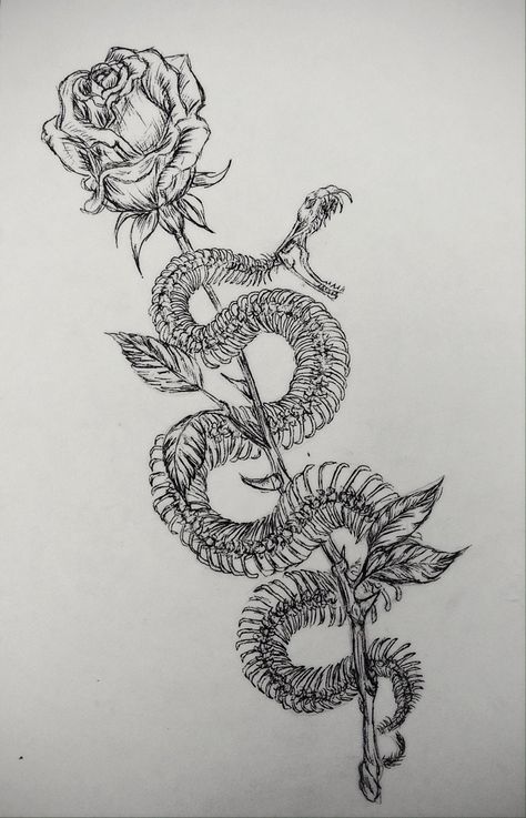 Back Tattoo Women Spine, Fat Rat, Snake Skeleton, Draw Music, Dragon Tattoo For Women, Snake Tattoo Design, Skeleton Tattoos, Spine Tattoos For Women, Tattoo Women