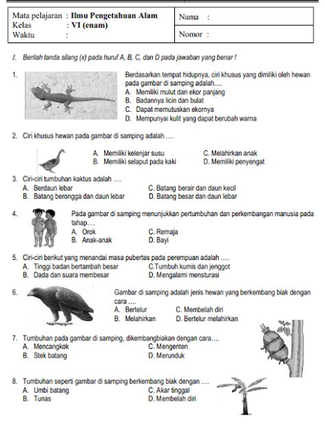 SOAL LATIHAN DAN KUNCI JAWABAN ULANGAN UAS IPA KELAS 6 SD/MI SEMETER 1 ( GANJIL ) | SERBA SERBI GURU Materi Ipa, 4th Grade Fractions, Kids Worksheet, Best Filters For Instagram, Grammar And Vocabulary, Classroom Rules, Worksheets For Kids, Science And Nature, Ipa