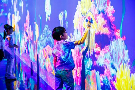 Teamlab Tokyo, Building Digital Art, Teamlab Borderless, Digital Art Museum, Environmental Sculpture, Aquarium Architecture, Interactive Art Installation, Virtual Exhibition, Museum Exhibition Design