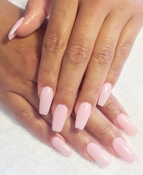 Fresh Set Acrylic Nails, Baby Pink Coffin Nail Ideas, Formal Pink Nails, Light Pink Coffin Nail Ideas, Summer Acrylic Nails Almond Pink, Light Pink Ballerina Nails, Coffin Light Pink Nails, Medium Ballerina Acrylic Nails, Light Pink Nails Coffin