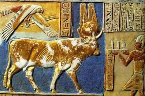 Do you know the fascinating legend of Apis, the solar bull? Apis Bull, Ancient Mystery, Ancient Mediterranean, Ancient History Archaeology, Ancient Africa, Ancient Egyptian Gods, Ancient Technology, Ancient Egyptians, Egyptian Hieroglyphics