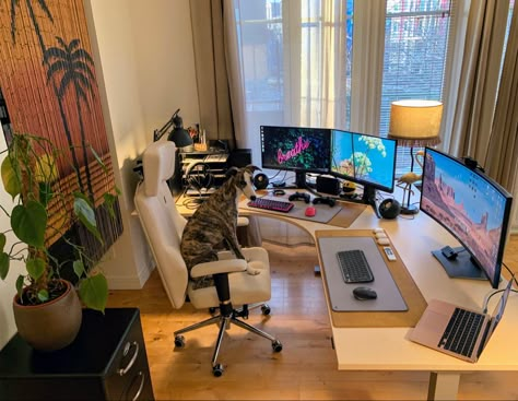 Small Creative Office Space, Home Office Programmer, Two Computer Desk Setup, Trading Office Design, Trading Setup Home Office, Computer Set Up, Working From Home Aesthetic, Work From Home Office Setup, Work From Home Desk Setup