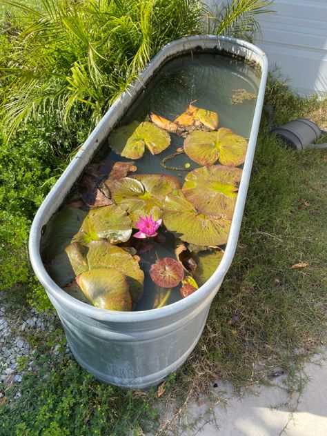 outside bathtub with lily pads in it, cute pond back yard idea Outside Bathtub, Garden Plan, Water Lilly, Dream Garden, Garden Planning, Lily Pads, My Dream Home, Lily, Yard