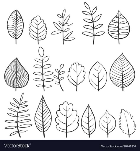 Doodle Tree, Doodle Leaves, Tree Drawing Simple, Leaves Doodle, Tree Doodle, Drawing Doodles, Vector Doodle, Floral Doodle, Doodle Art Journals