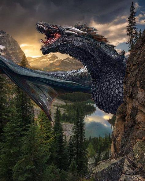 Dragon Vs Wyvern, Giant Dragon Art, Targeryan Art, Balerion Dragon Art, Dragon Pictures Realistic, Dragon Fantasy Realistic, Dragon With Fur, Dragon With Armor, Dragon Realistic