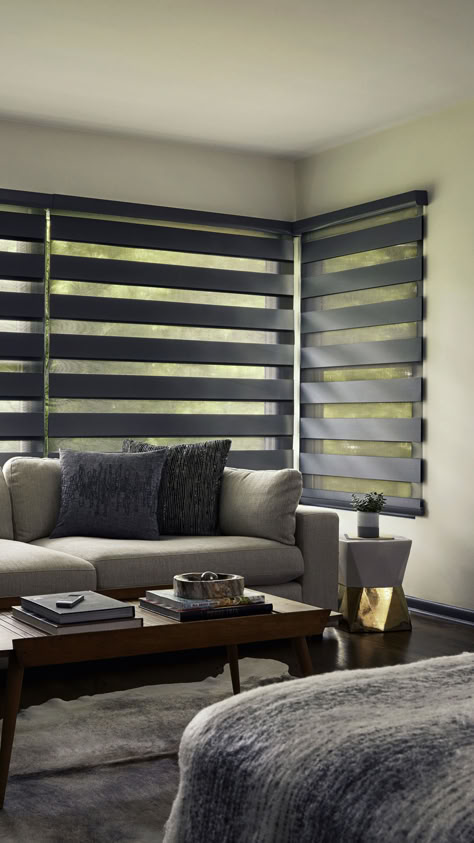 Modern shades that combine the look and feel of fabric shades with the functionality of blinds. Ideas Para Cortinas, Modern Window Blind, Dramatic Living Room, Modern Window Coverings, Blinds For Large Windows, Classic Blinds, Blinds For Windows Living Rooms, Window Covering Ideas, Contemporary Window Treatments