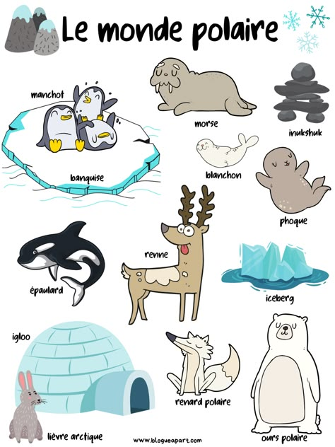 Le monde polaire - Blogue à part French Immersion Kindergarten, Winter Classroom Decorations, French Poems, French Teaching Resources, Pole Nord, French Language Lessons, Winter Classroom, Polar Animals, 1st Grade Math Worksheets