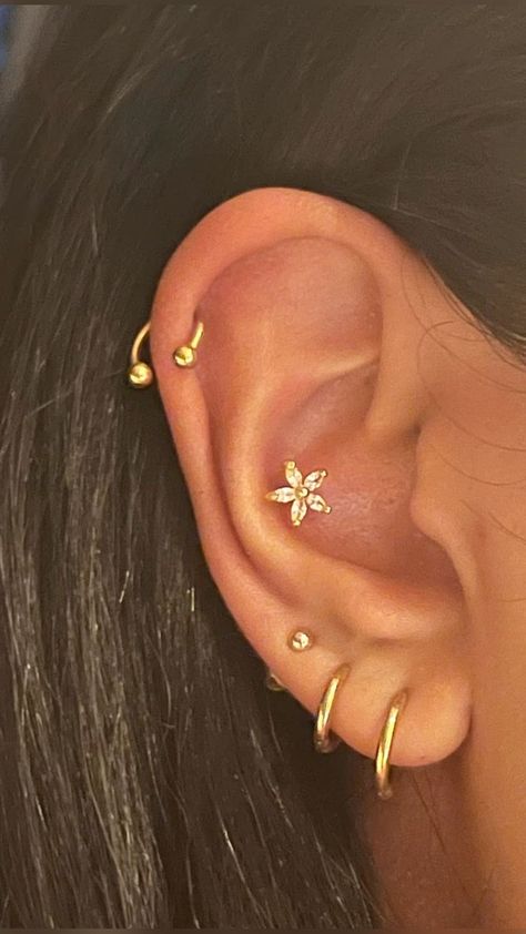 Ear Styling Gold Minimalist, Ear Styling Ideas Gold, Ear Piercing Ideas Minimalist, Small Ear Piercings Ideas, Earscapes Gold, Eat Pericing Ideas, Ear Mapping Piercing, Simple Ear Piercings, Piercing Curation