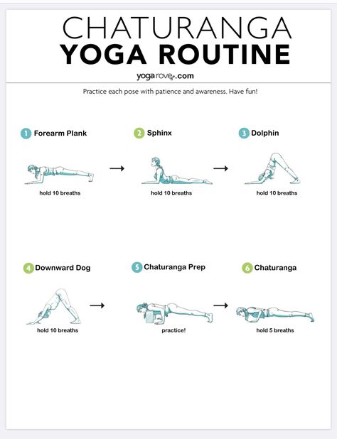 Lyt Yoga, Basic Yoga Sequence, Beginner Yoga Flow Sequence, Ashtanga Yoga Beginners, Different Types Of Yoga Asana, Beginner Yoga Class Plan, Yoga Muscles, Yoga Teacher Resources, Yoga Routine For Beginners