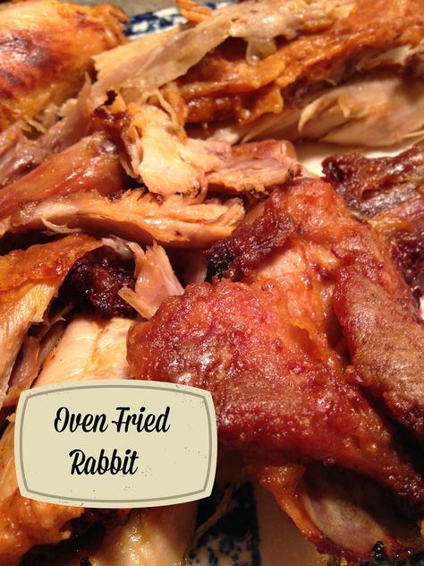 On the Menu Today~  Oven Fried Rabbit          Our neighbor is an avid fisherman and hunter.  He recently stopped by and asked if we would l... Cooked Rabbit Recipes, Baked Rabbit Recipes Easy, Recipes With Rabbit Meat, Fried Rabbit Recipes Easy, Cooking Rabbit Recipes, How To Cook Rabbit Recipes, Rabbit Recipe Baked, Oven Roasted Rabbit Recipe, Best Rabbit Recipe