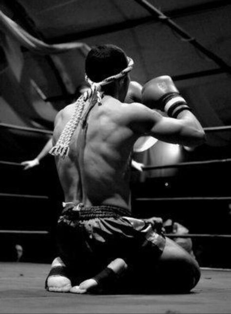 Combat Sport Aesthetic, Muay Thai Photography, Muay Thai Aesthetic, Muay Thai Gym, Thai Box, Thailand Guide, Boxing Images, Boxe Thai, King Cup