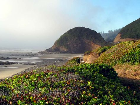 Oregon Coastline, Washington State Parks, Southern Oregon Coast, Pacific City, Rockaway Beach, Beach Events, Rock Creek, Central Oregon, Cannon Beach