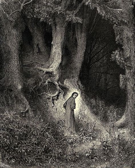 Dante in the Dark woods - #forestwitch #interiority #antiqueengraving #gustavedore The Divine Comedy, Divine Comedy, Dante Alighieri, Dark Forest, The Divine, Classic Art, In The Middle, The Middle, Forest