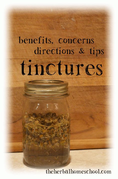 Nettle Tincture, Tinctures Recipes, Herbal Medicine Recipes, Herbal Remedies Recipes, Loose Leaf Teas, Herbal Tinctures, Herbal Apothecary, Herbal Healing, Cold Home Remedies