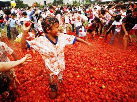 Tomatina Festival, La Tomatina Festival, La Tomatina, Mind Maps, Festivals Around The World, Take Charge, Health Lifestyle, Brad Pitt, Latest Video